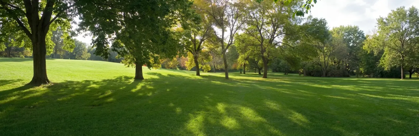 trees