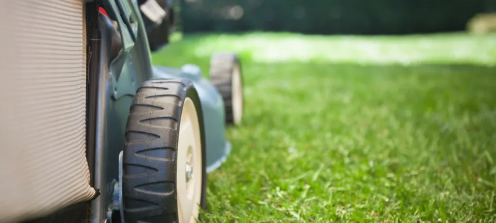 lawn mowing