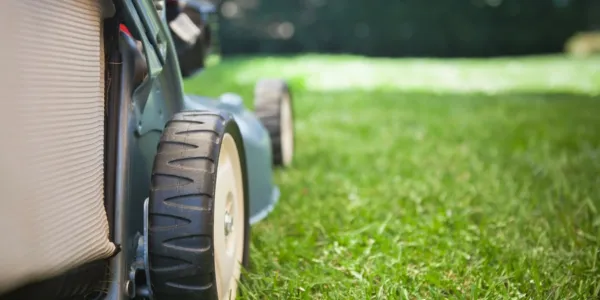 lawn mowing