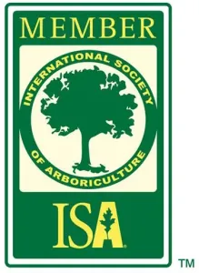ISA Member