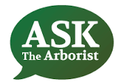 ask the arborist