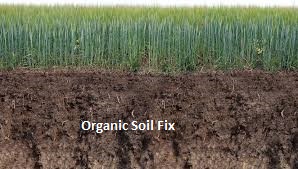Organic Soil Fix