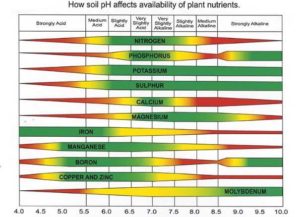 soil ph affects plant nutrients